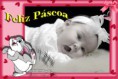 Lembrança de Páscoa
